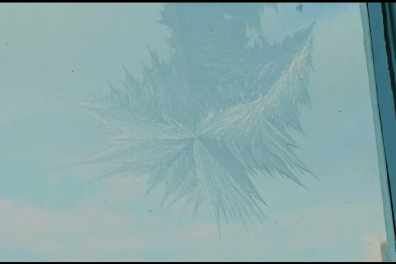 A frost feather spread across a sash window pane, pale sky and a bare tree beyond the glass